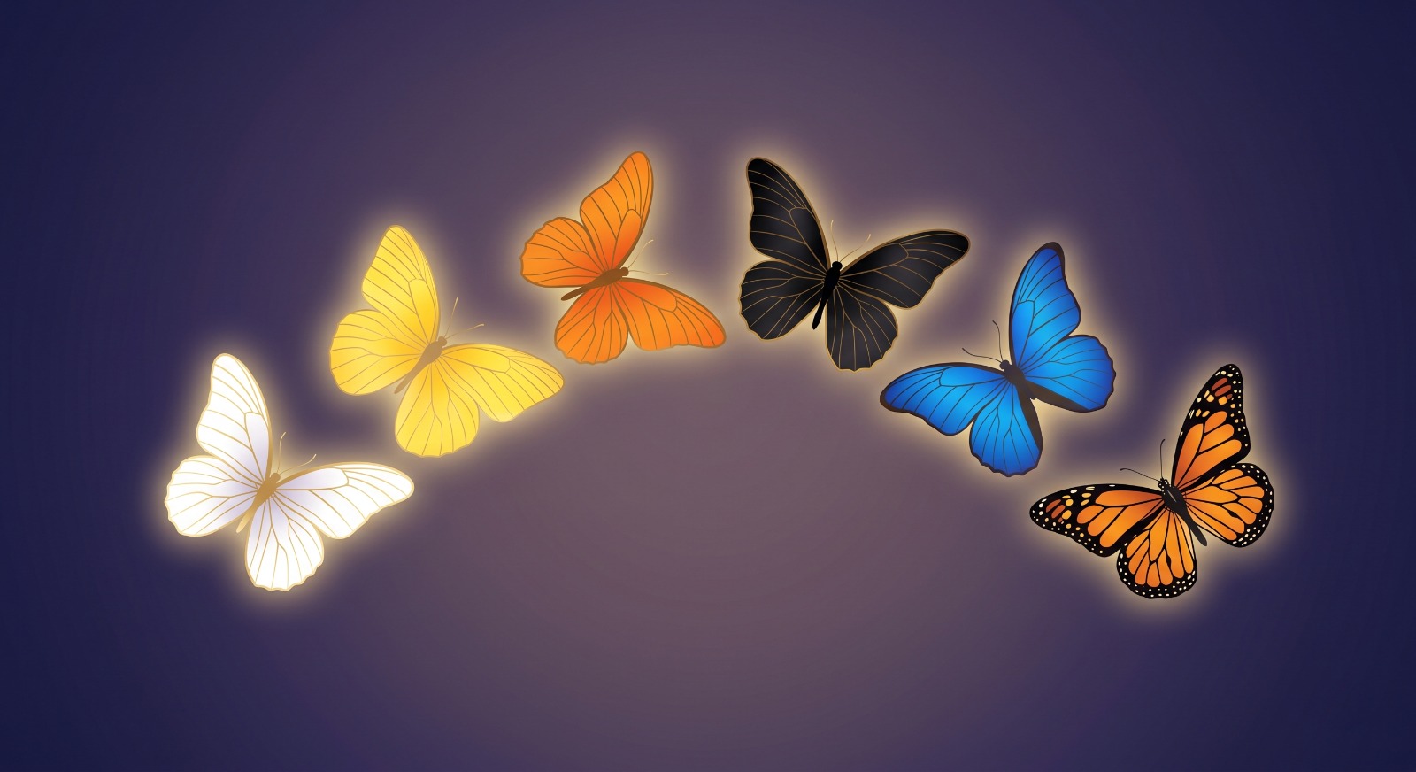 Butterfly Colors and Their Spiritual Significance