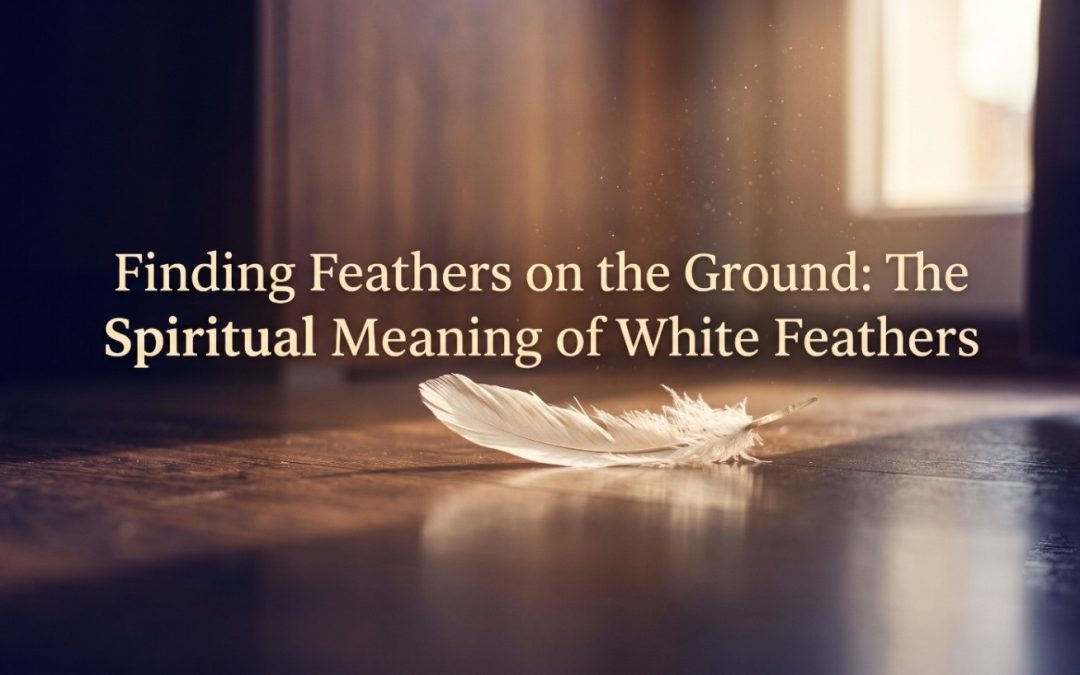 Finding Feathers on the Ground: The Spiritual Meaning of White Feathers