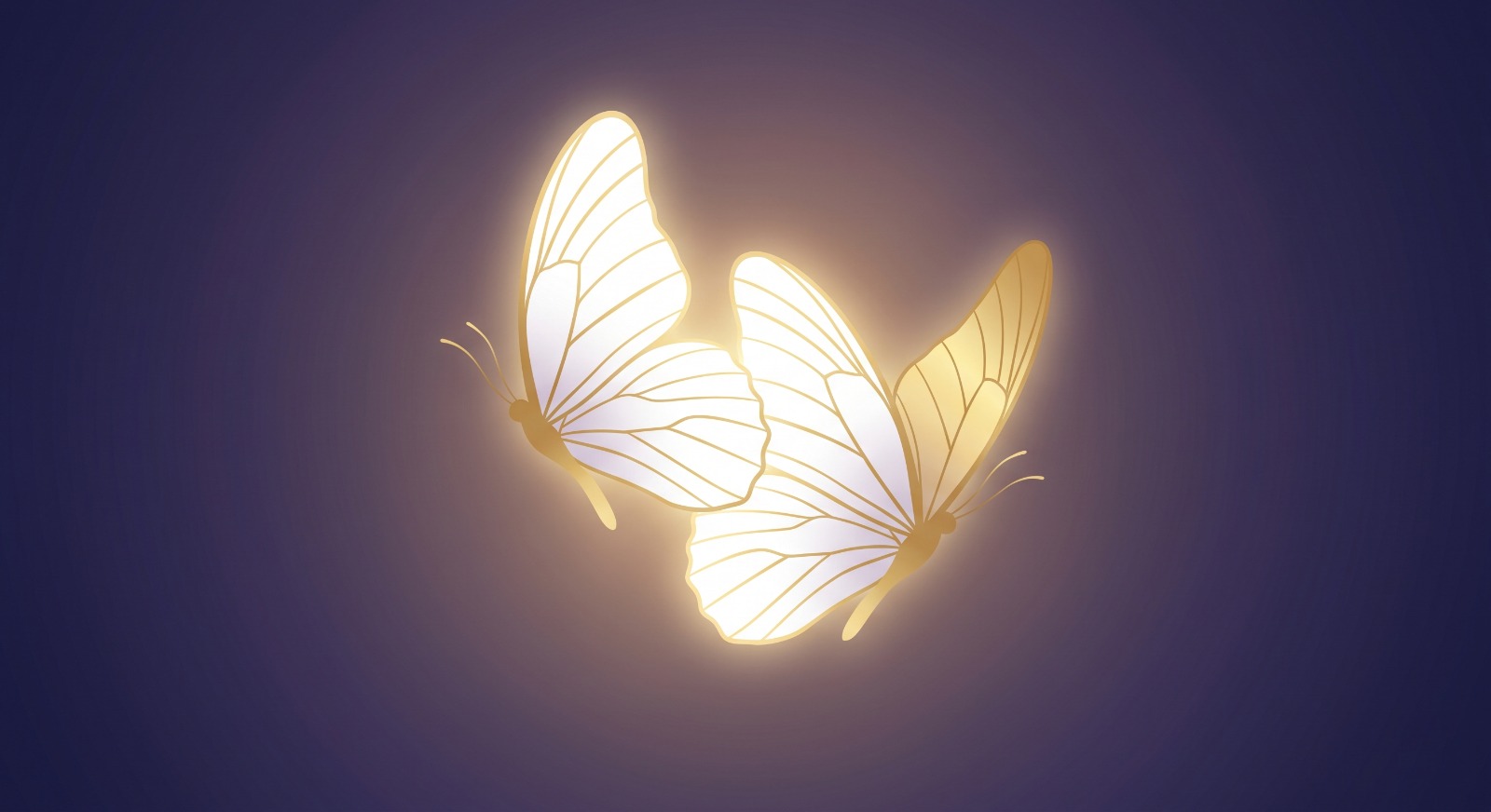 Messengers from Angels
